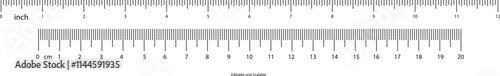 Detailed Ruler with Inch and Centimeter Scales.