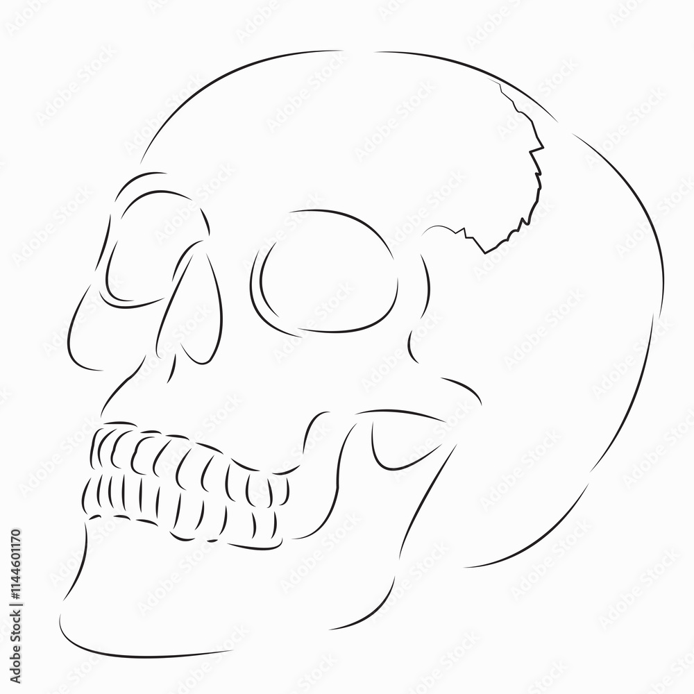 One continuous single drawing line art flat doodle bone, skull, skeleton, dead, jaw, cranium. Isolated image hand draw contour on a white background
One continuous single drawing line art flat doodle bone, skull, skeleton, dead, jaw, cranium. Isolated image hand draw contour on a white background