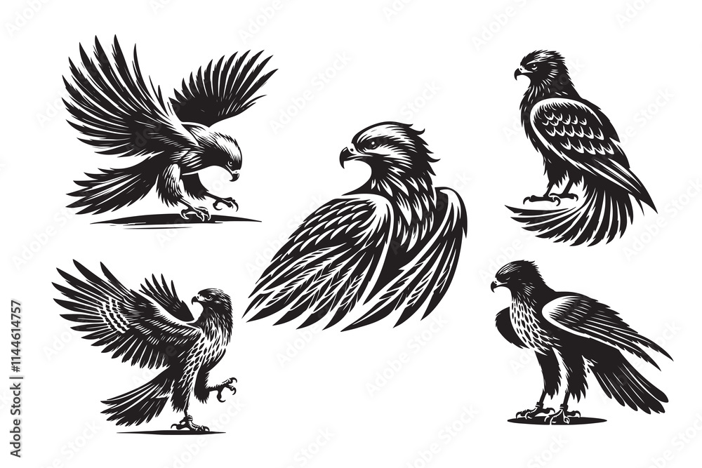 Hawk silhouette vector illustration on white background Hawk silhouette vector illustration on white background