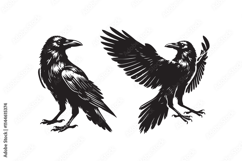 Obraz premium Crow silhouette vector illustration with white background
