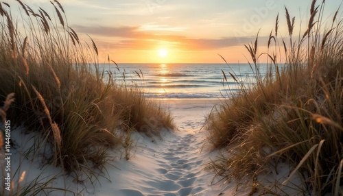 A serene coastal scene at sunset, viewed through a natural pathway framed by tall beach grass on soft, sandy dunes.