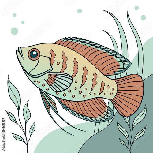 gourami fish