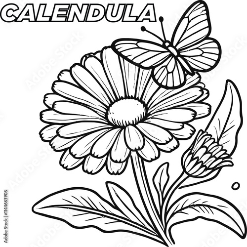 Petals & Pencils Stunning Flower Coloring Pages, Floral Fantasies Color Your Favorite Flowers