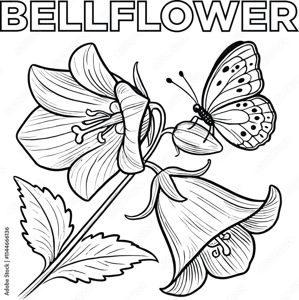 Fototapeta premium Petals & Pencils Stunning Flower Coloring Pages, Floral Fantasies Color Your Favorite Flowers
