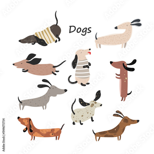 Cute Dachshund dogs, set with hand drawn dogs on white background. Vector illustration.