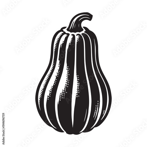 Squash Silhouette Vector Illustration, Solid White Background.