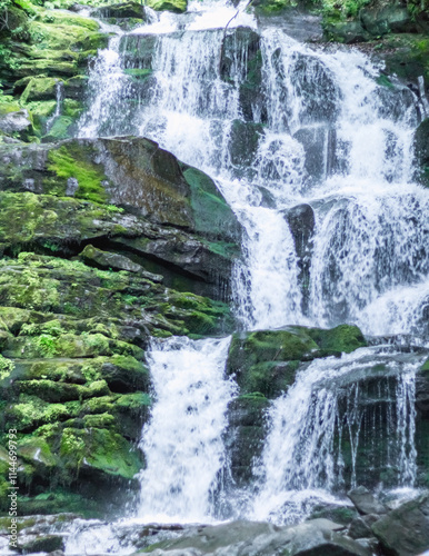 Summer Sun at Shipot Waterfall, Carpathians