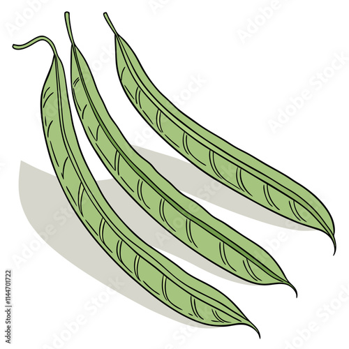 green peas illustration