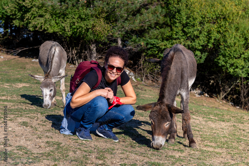 Donkeys and girl outdoors on sunny day Donkeys and girl outdoors on sunny day