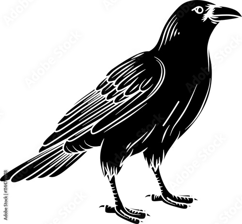 Raven profile silhouette vector