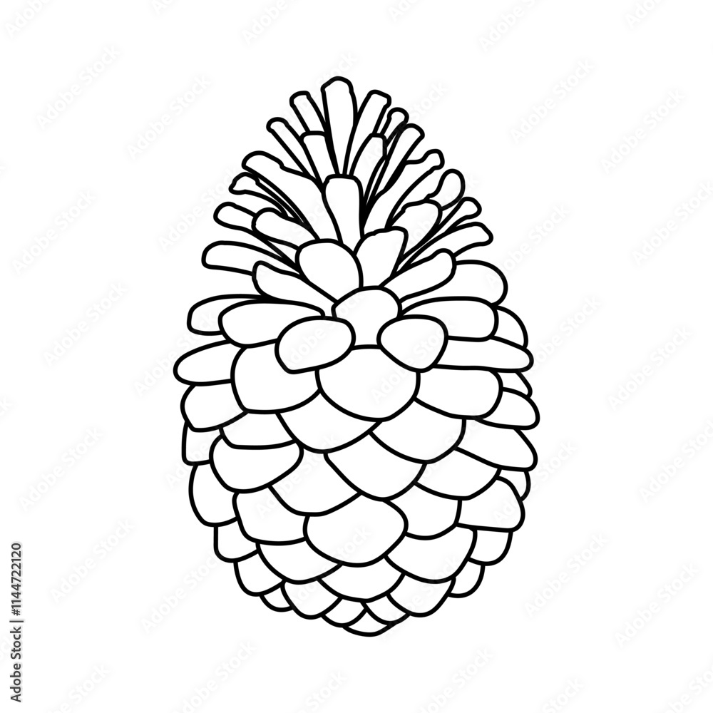 Pine cone isolated on white background. Black and white illustration. Vector illustration