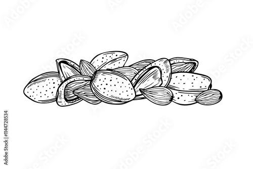 Peeled and unshelled almond pile hand drawn vector sketch in black and white color. Nuts monochrome illustration. Organic healthy food ingredient etching drawing for package design, menu, label