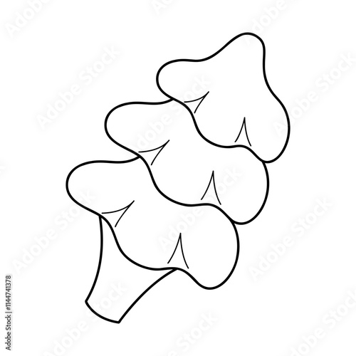 A conifer in black outline. Clip art for your projects.