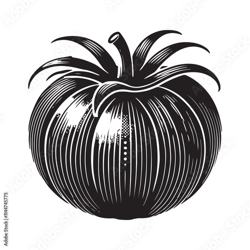 Tomato Silhouette Vector Illustration, Solid White Background.
