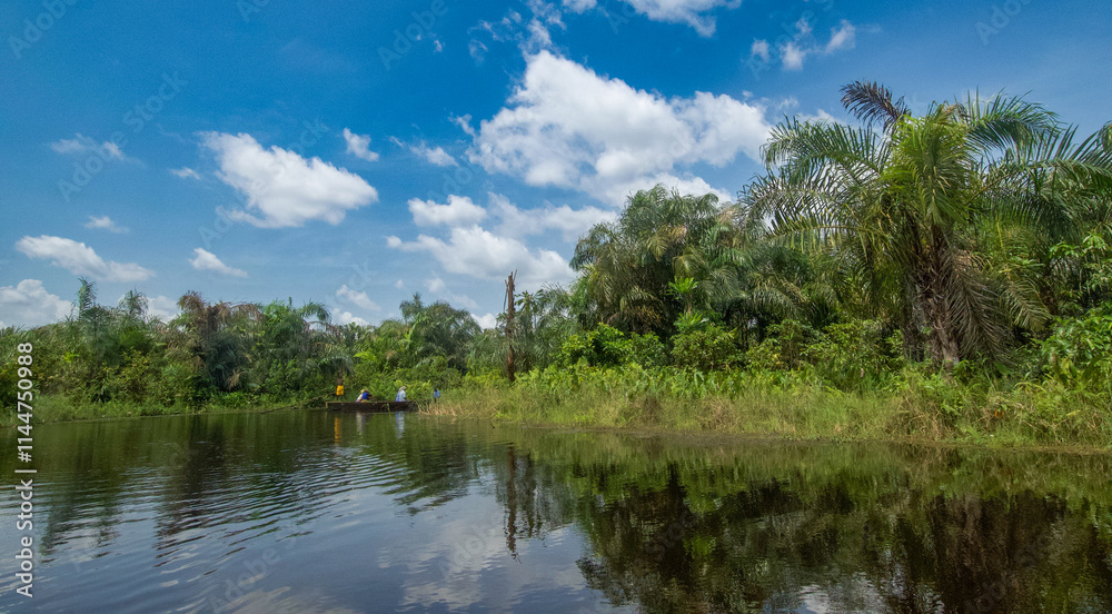 Beautiful view of the Black River Beautiful view of the Black River