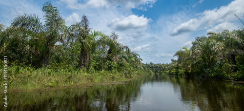 Beautiful view of the Black River