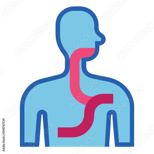 Human esophagus vector art illustration