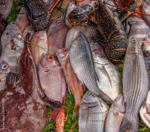 Fresh fish on the fishing port of Essaouira in Morocco photo