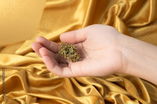 in a white young female hand a dry bud of medical marijuana. On a festive golden background