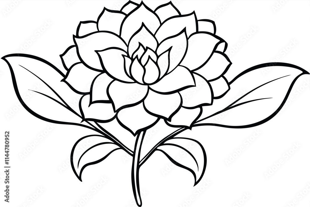 Obraz premium Elegant Flower Line Art: Minimalist Vector Illustration for Design Projects, Featuring Delicate Floral Outlines
