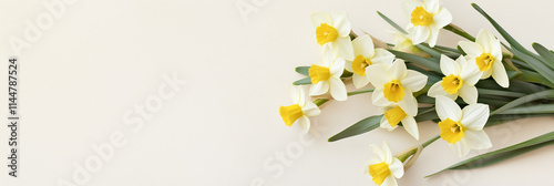 This bright and cheerful arrangement of yellow and white daffodils exudes freshness and hope, symbolizing new beginnings and the joy of spring's arrival. photo