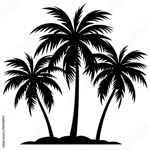 palm trees silhouettes