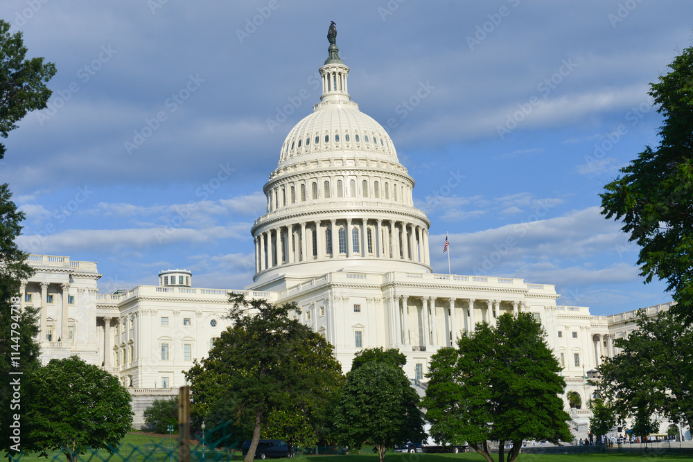 Fototapeta premium US Capitol Building - Washington DC United States