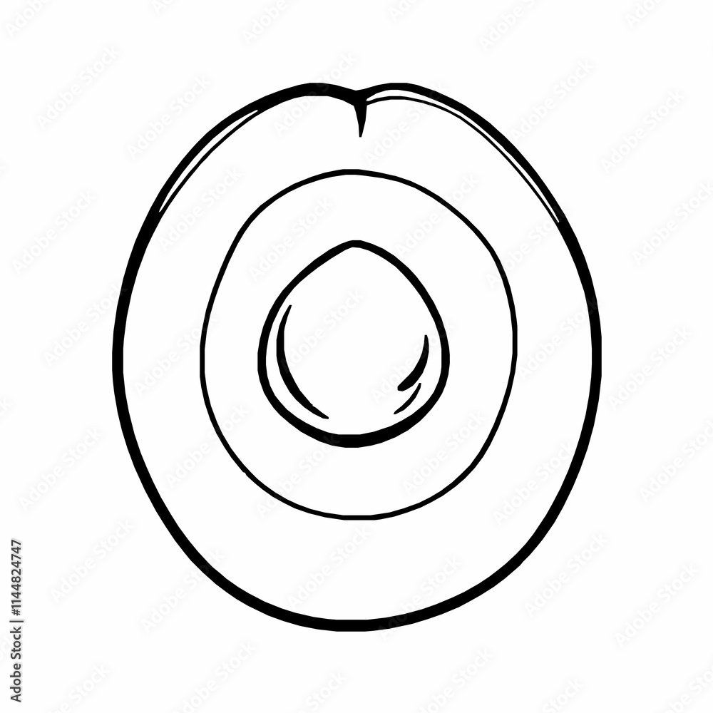Black Outline Vector of Avocado Half with Seed Black Outline Vector of Avocado Half with Seed