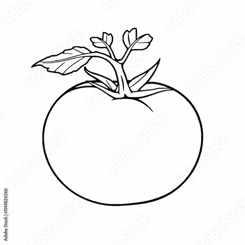 Black Outline Vector of Tomato with Stem and Leaves