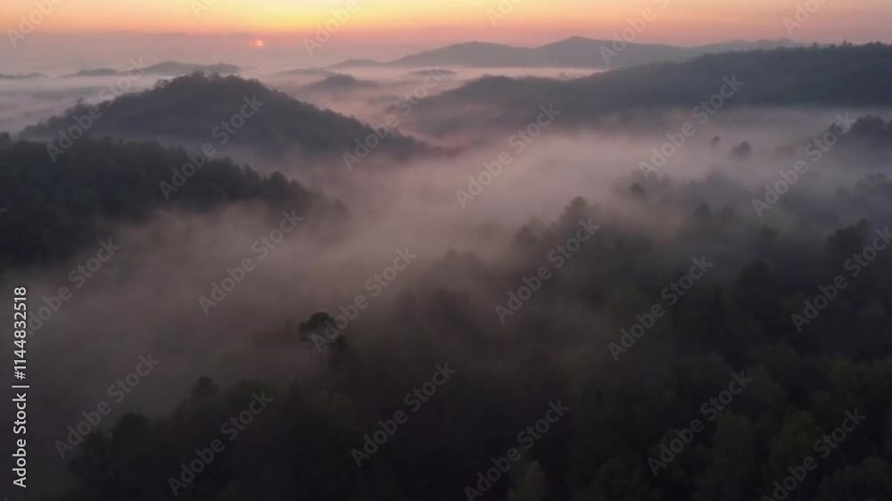Foggy Forest Flight at Dawn Aerial Journey Before Sunrise Foggy Forest Flight at Dawn Aerial Journey Before Sunrise