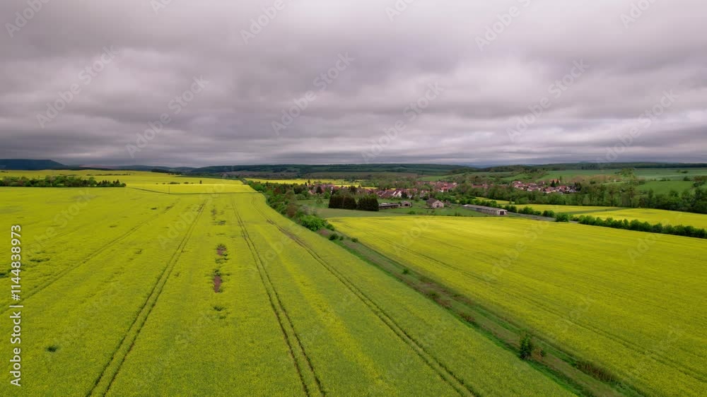 A field of yellow rapeseed flowers with a small town in the background. The sky is cloudy and the sun is shining through the clouds. Germany. A field of yellow rapeseed flowers with a small town in the background. The sky is cloudy and the sun is shining through the clouds. Germany.