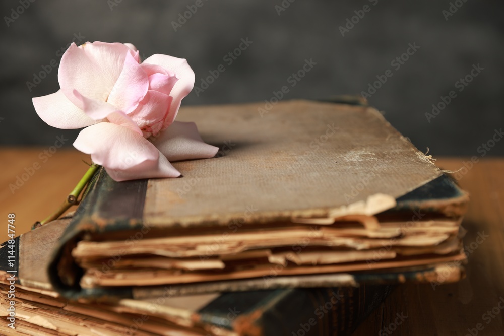 Books and beautiful flower on table, closeup Books and beautiful flower on table, closeup