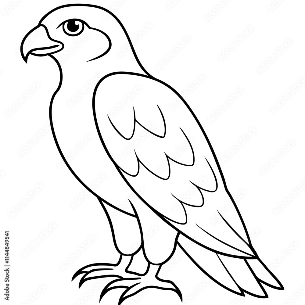 Hawk Line Art Illustration - Bold and Detailed Hawk Line Art Illustration - Bold and Detailed