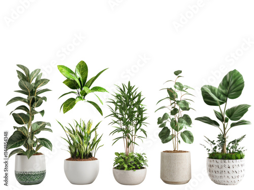 Collection of various houseplants displayed in ceramic pots isolated on transparent background.