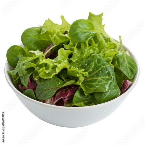 Bowl of Fresh Mixed Greens with Vinaigrette Dressing