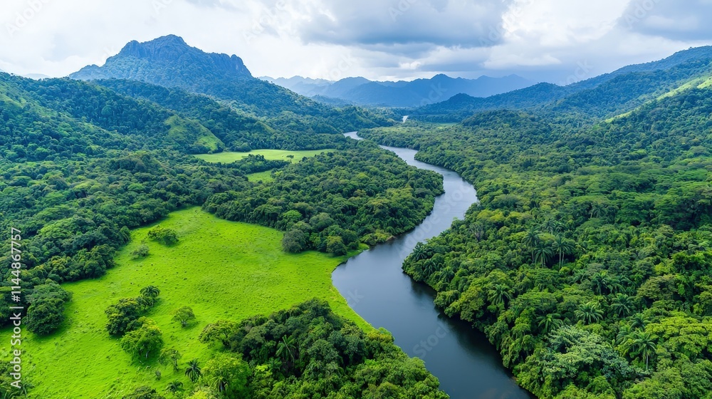 Aerial view of a lush green river valley. Aerial view of a lush green river valley.
