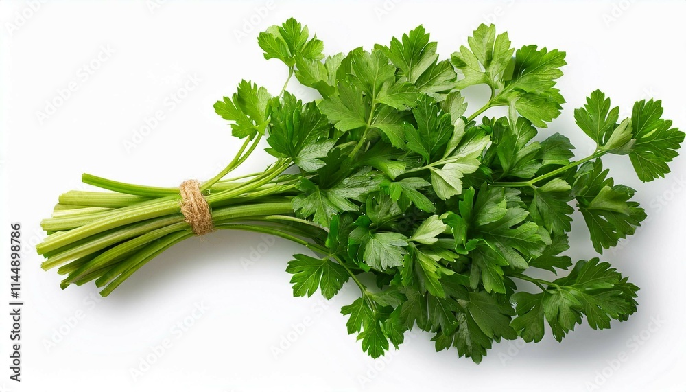fresh parsley isolated on white fresh parsley isolated on white
