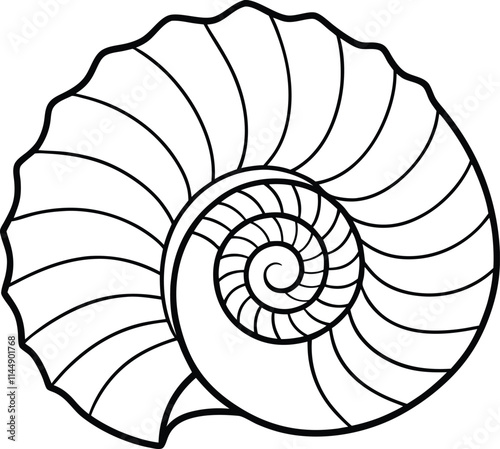 Seashell Spiral Shape Vector Illustration in Line Art