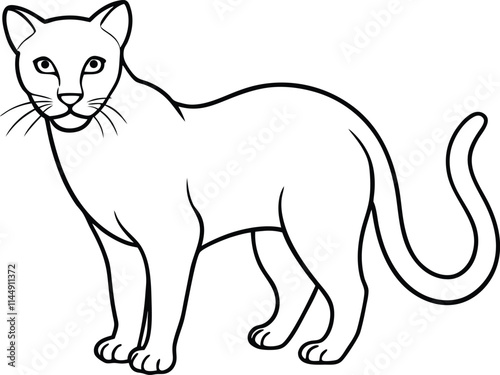 Jaguarundi Wildcat Vector Illustration in Line Art
