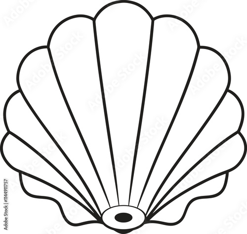 Detailed Scallop Seashell Line Art Vector Illustration photo