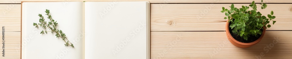 Minimalist Gardening Journal with Herb and Seedling on Wooden Table Minimalist Gardening Journal with Herb and Seedling on Wooden Table