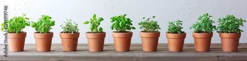 row of small herb pots arranged symmetrically on wooden table with empty space to left for text photo