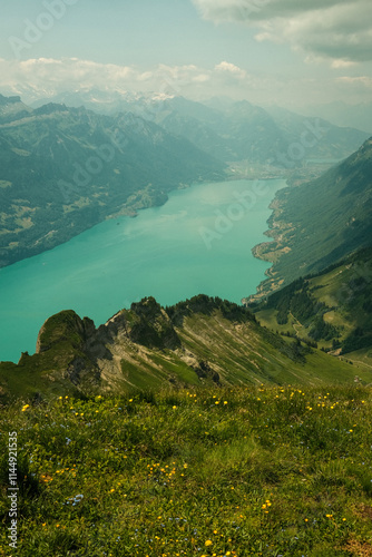 Swiss Landscapes