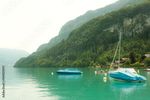 Switzerland Landscape