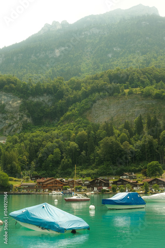 Switzerland Landscape