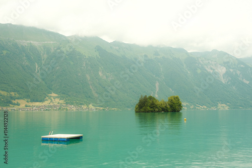 Switzerland Landscape