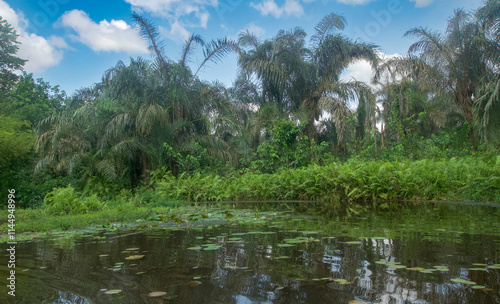 Beautiful view of the Black River photo