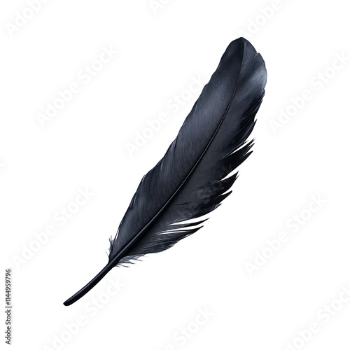 Black feather isolated on white background dark crow feather soft plume fluffy feather lightweight feather quill pen feather writing feather elegant feather dark feather delicate feather single