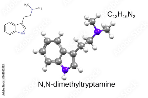Chemical formula, structural formula and 3D ball-and-stick model of N,N-Dimethyltryptamine