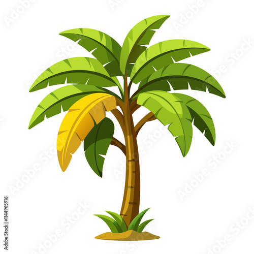 banana tree ,white background